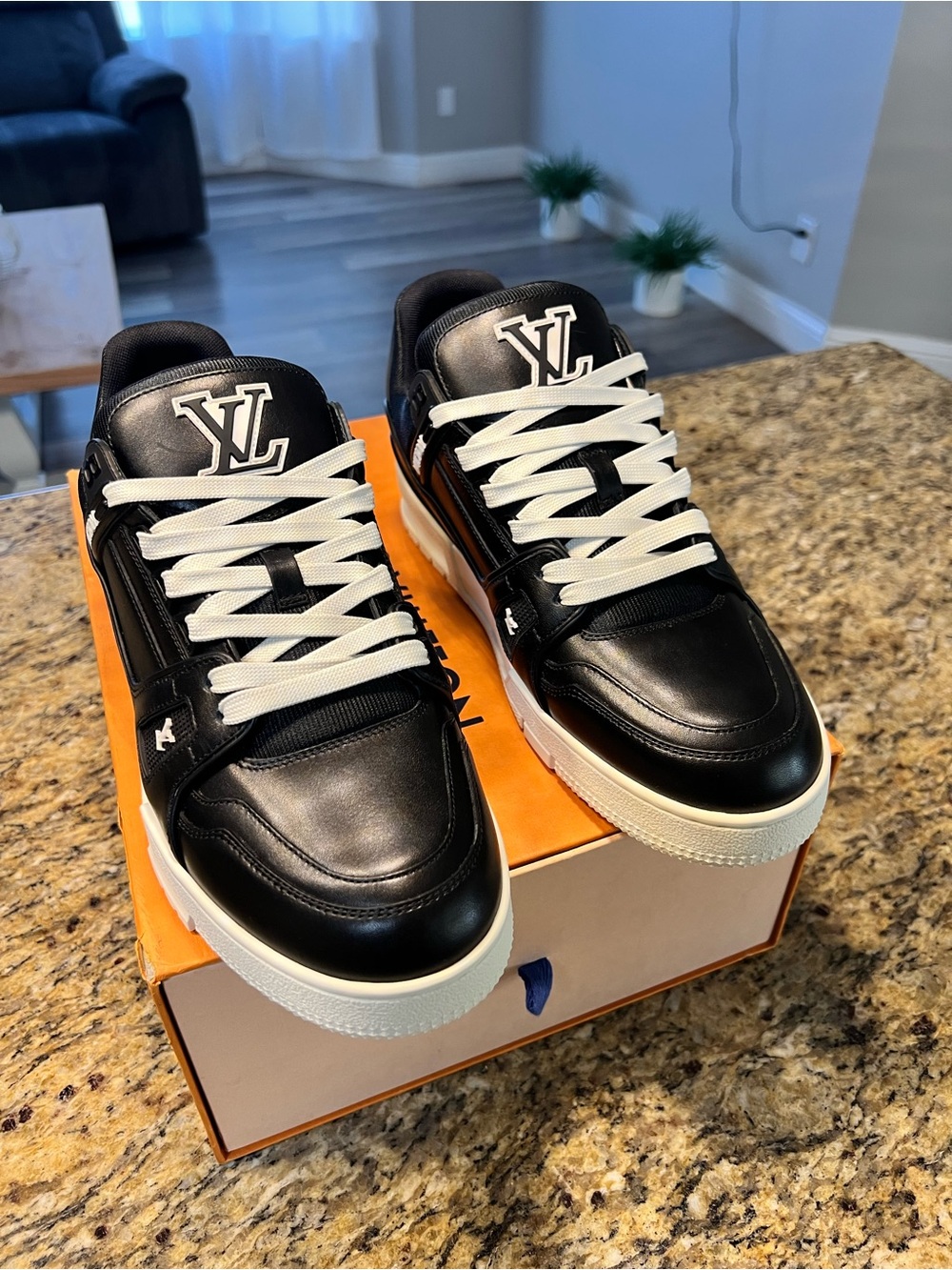 Louis Vuitton Black Trainers Leather Low-Top Sneakers with White Accents